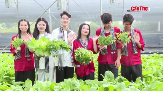 Trồng rau thủy canh, nuôi cá tuần hoàn khép kín – THTPCT