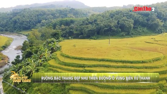 Ruộng bậc thang đẹp như thiên đường ở vùng biên xứ Thanh | Văn hóa toàn cảnh | 08/11/2025 – THTPCT