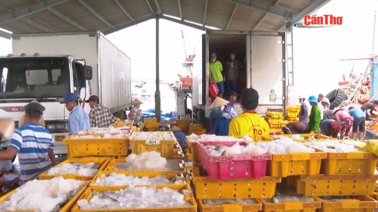 TP. Cần Thơ thực hiện đạt và vượt 9 trong 15 nhóm chỉ tiêu nghị quyết năm 2025 – THTPCT