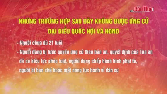 Hỏi đáp về bầu cử: Những trường hợp không được ứng cử đại biểu Quốc hội và HĐND – THTPCT