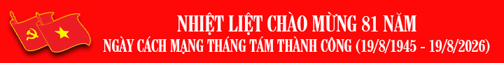 CMT8